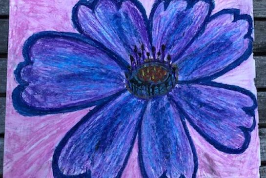 Featured image of post Oil Pastel Colour Flower Drawing : #oilpastel #drawingwaiting.｜oil pastel drawing by ohu sia✔️material :paper 220g, size19.5 today i drew a water lily flower landscape painting with oil pastel.